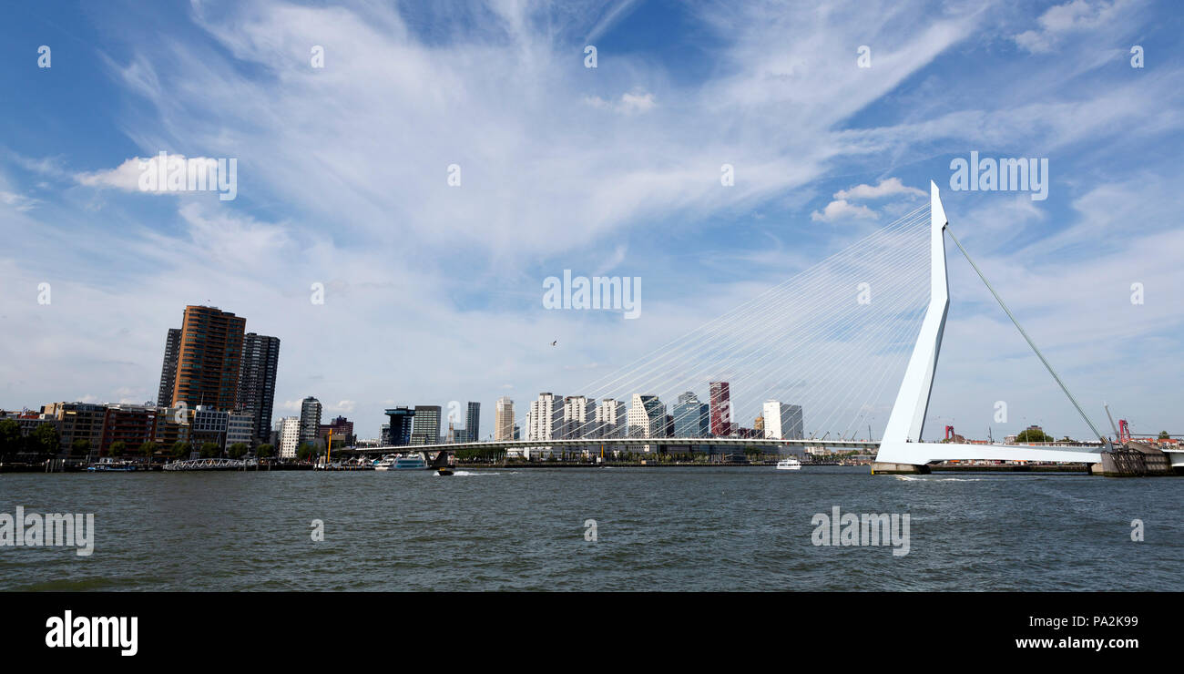 Le Pont Erasmus traverse la Nouvelle Meuse (fleuve) Nouvelle Meuse à Rotterdam, aux Pays-Bas. Le pont a été conçu par Ben van Berkel et ouvert en 19 Banque D'Images