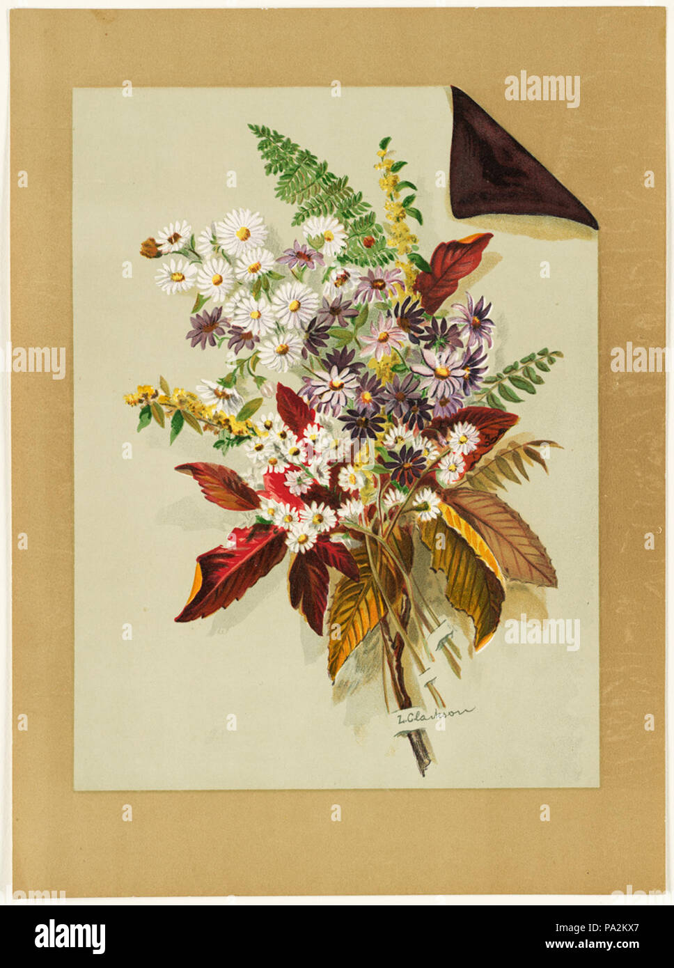 369 les marguerites et les feuilles d'automne et de fougères (Boston Public Library) Banque D'Images