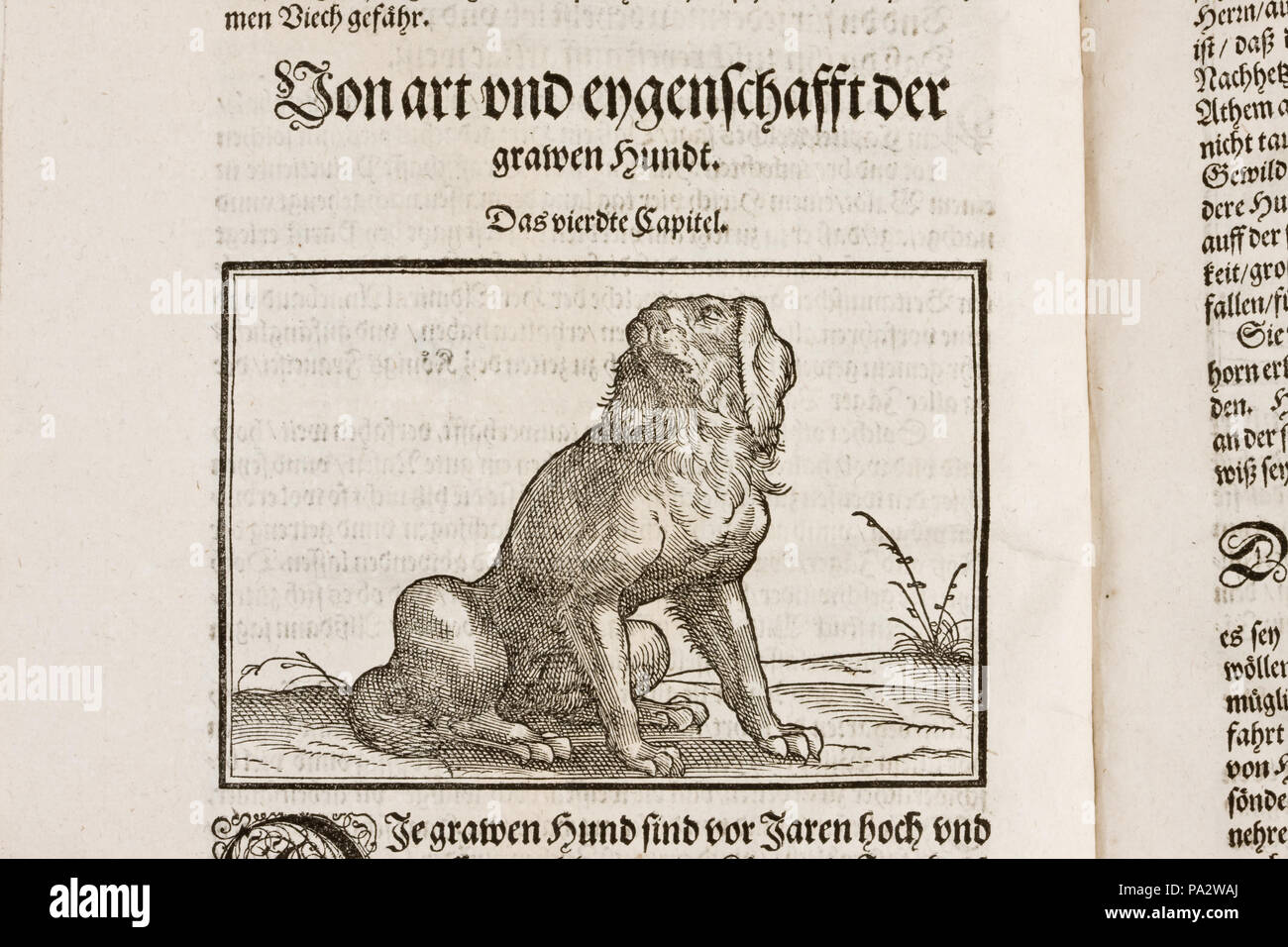 Inv.nr : Wr ekon.fol.3318 Träsnitt Jägerbuch ur bok (Nouveau). Hund. Wr ekon.fol.3 - Skoklosters slott - 87342 Banque D'Images