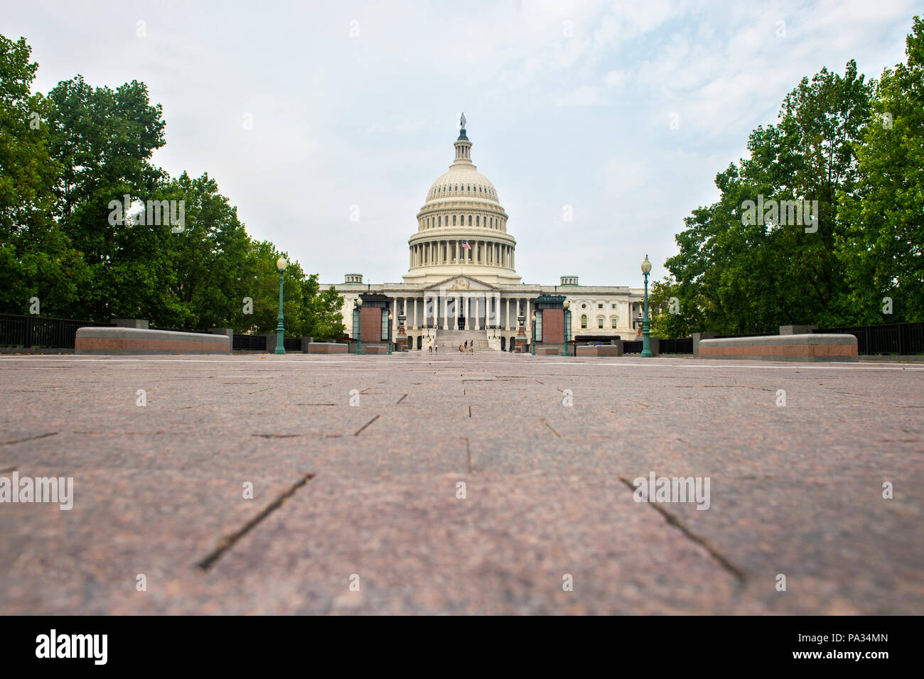 United States Capitol à Washington Banque D'Images