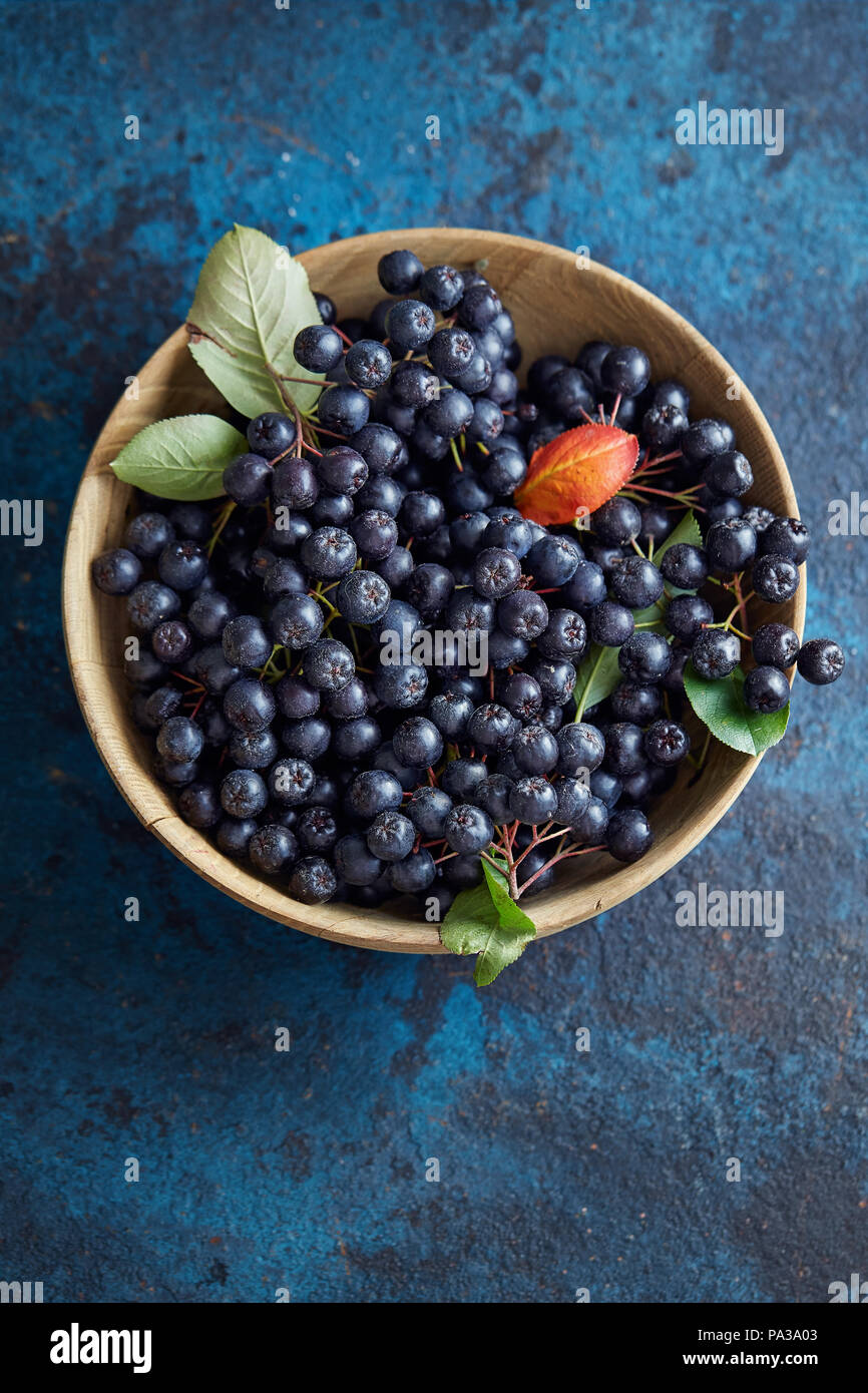 Bol avec les fruits fraîchement cueillis aronia. Aronia, communément connu sous le nom de l'aronie, avec des feuilles Banque D'Images