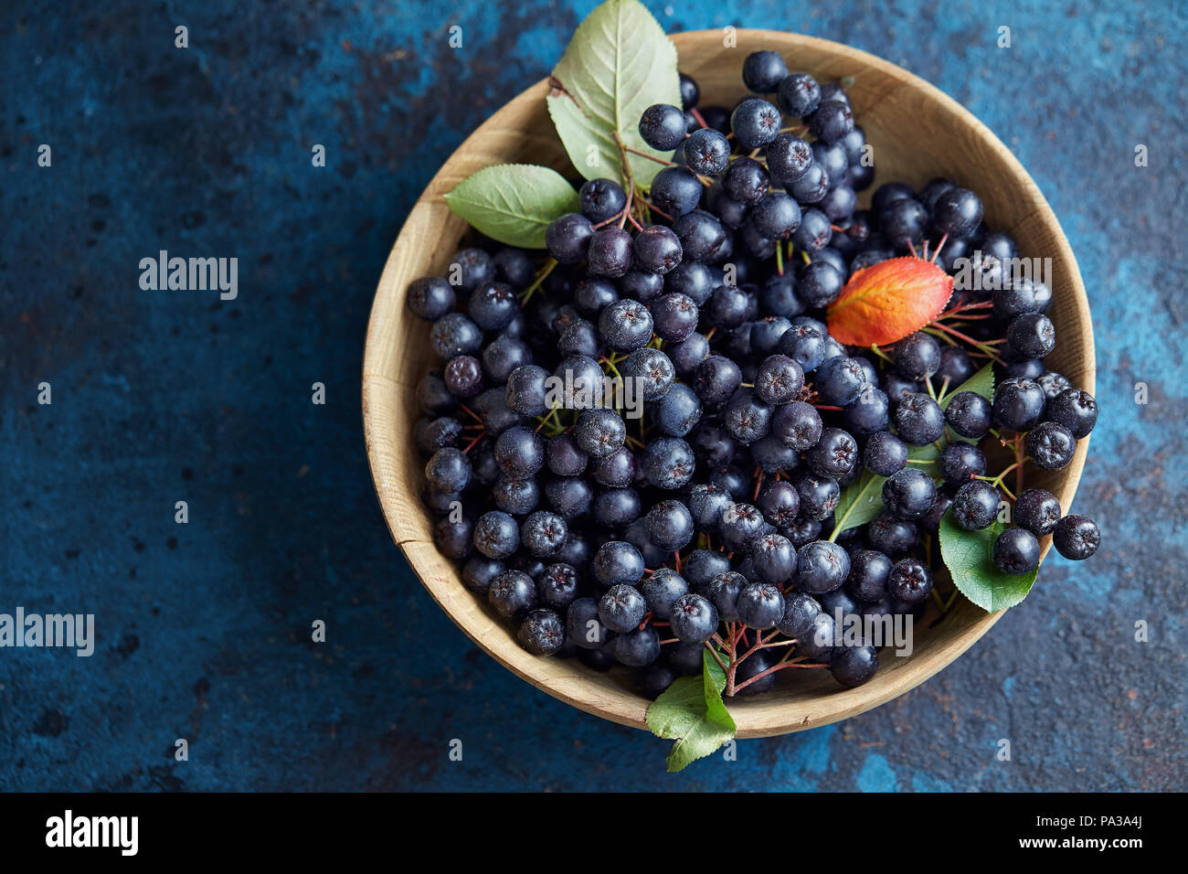Bol avec les fruits fraîchement cueillis aronia. Aronia, communément connu sous le nom de l'aronie, avec des feuilles Banque D'Images
