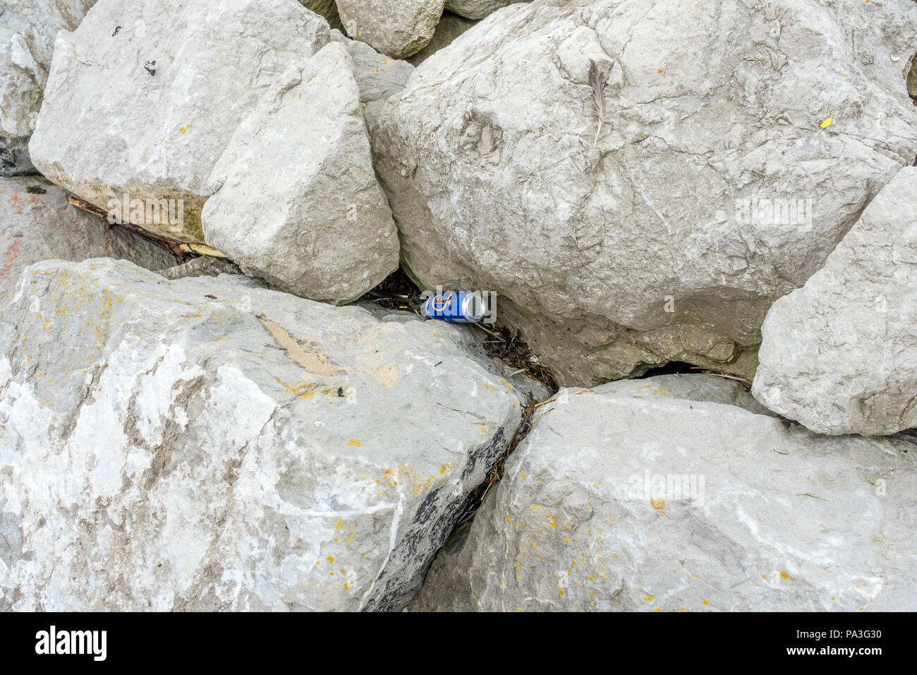 La bière peut jeter au milieu des rochers sur une plage Banque D'Images