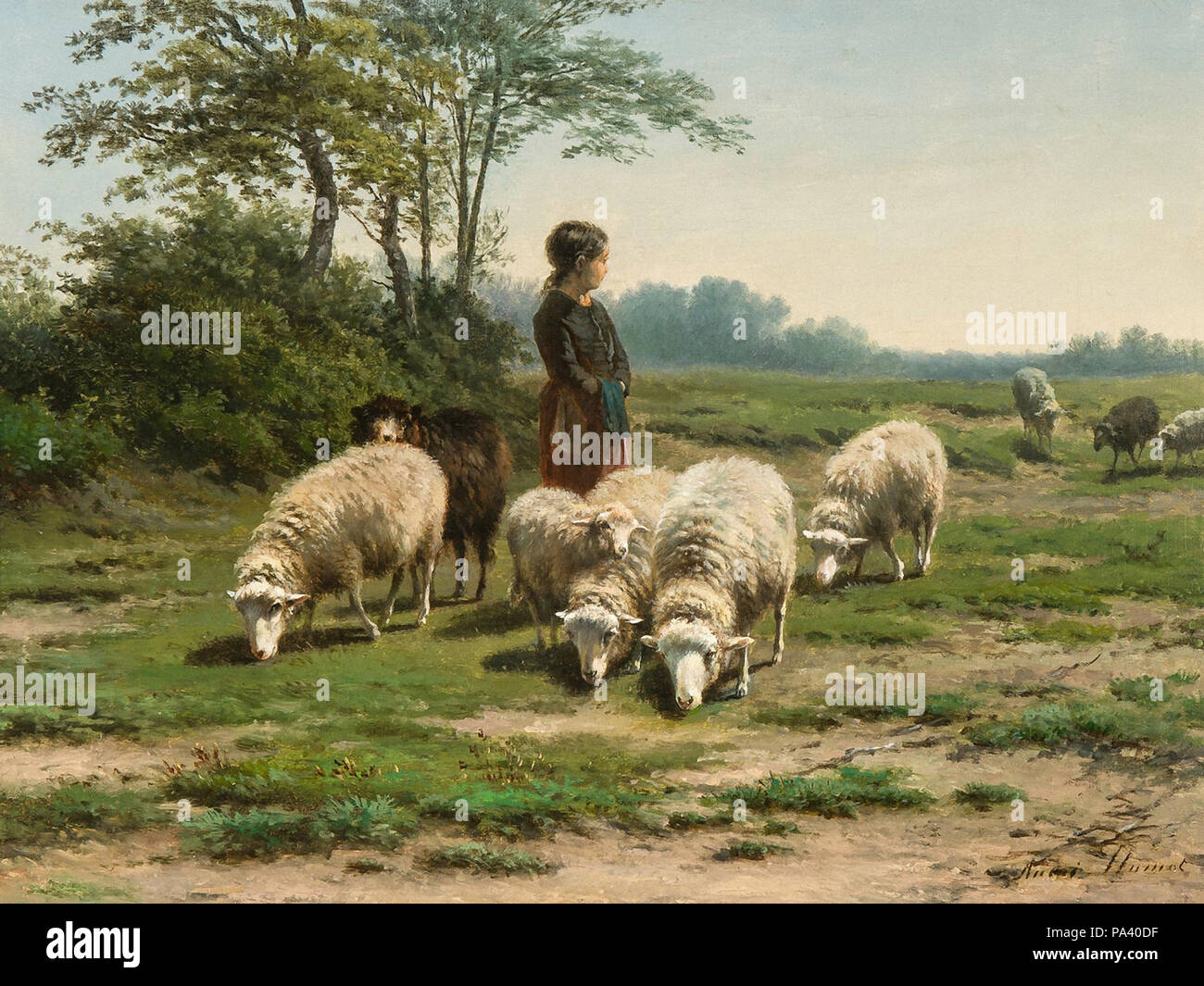 Plumot André - Herderinnetje rencontré Schapen Banque D'Images