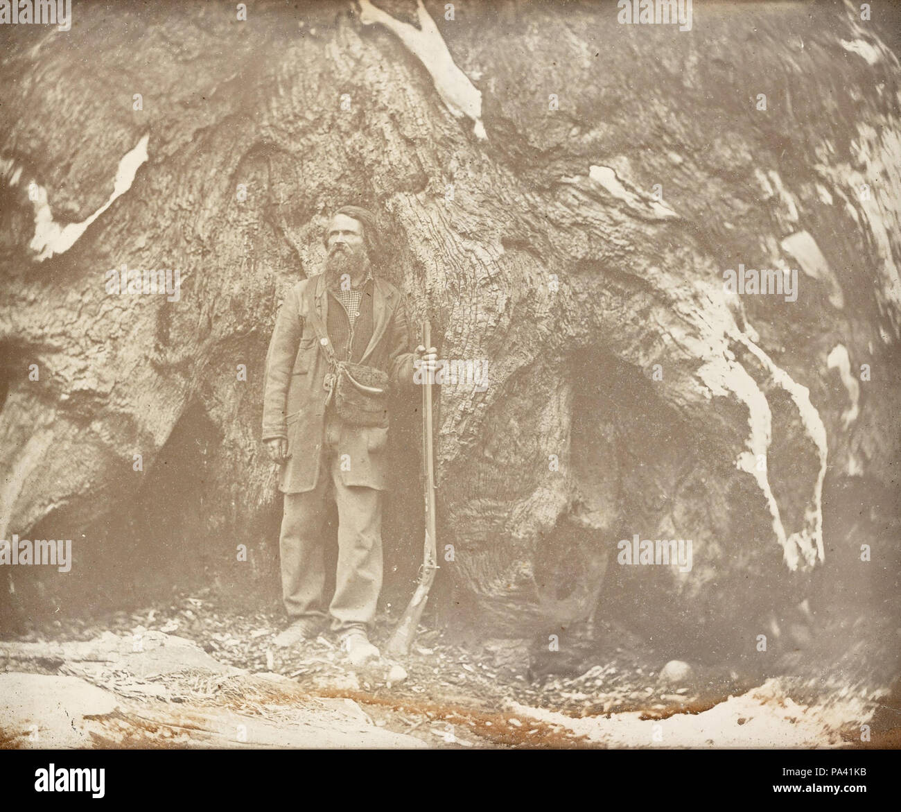 281 Carleton Watkins (American - Mariposa Grove. Galen Clark. , Portrait de Galen Clark - Banque D'Images