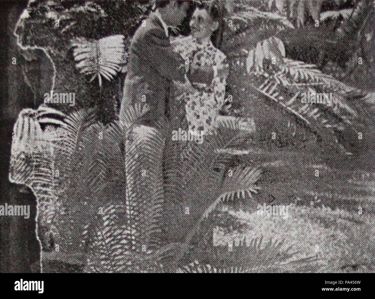 14 Mengalir Tjitarum Mata Air di P&amp;K Apr 1953 p26 2 Banque D'Images