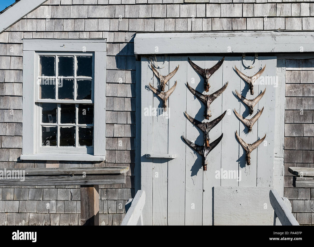 Cabane rustique avec queue de poisson affichez sur la porte, Chatham, Cape Cod, Massachusetts, USA Banque D'Images
