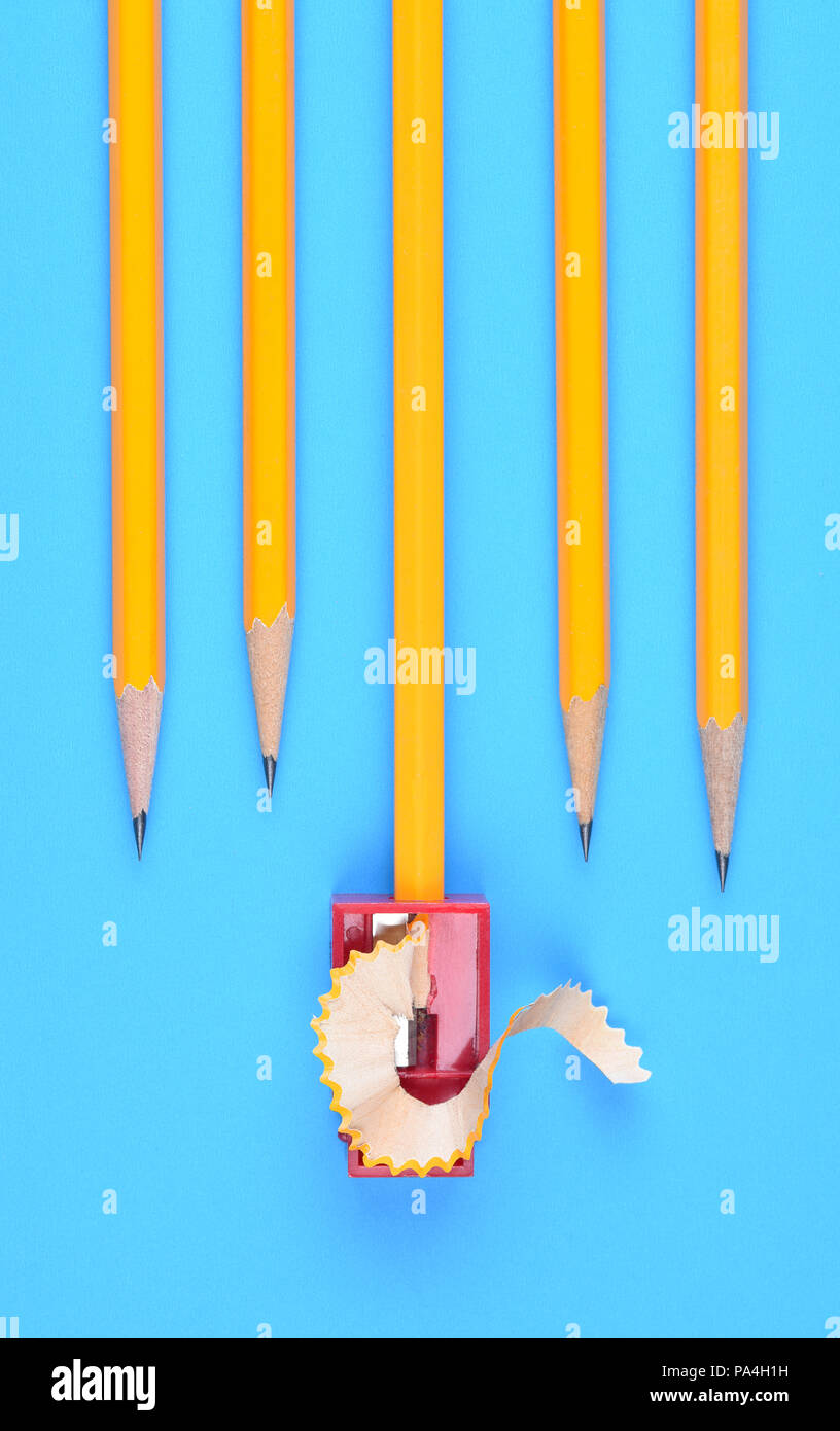 Retour à l'école Concept : Crayons de couleur jaune avec un taille-crayon et copeaux, sur un fond bleu. Banque D'Images