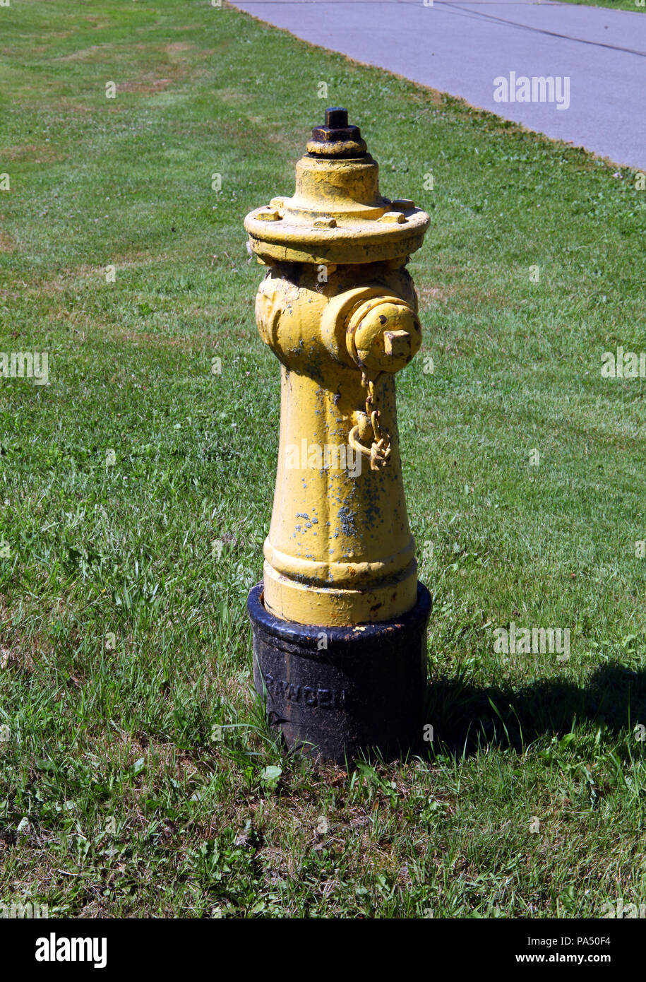 Un poteau incendie jaune sur un bord de l'herbe sur les îles de Toronto, Ontario, Canada Banque D'Images