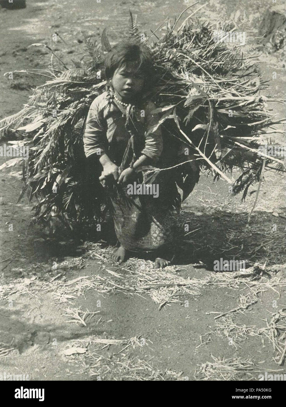 103 fille avec la matière végétale recueillie, Wanita di Indonésie p91 (Kon Paketvaart Mij) Banque D'Images