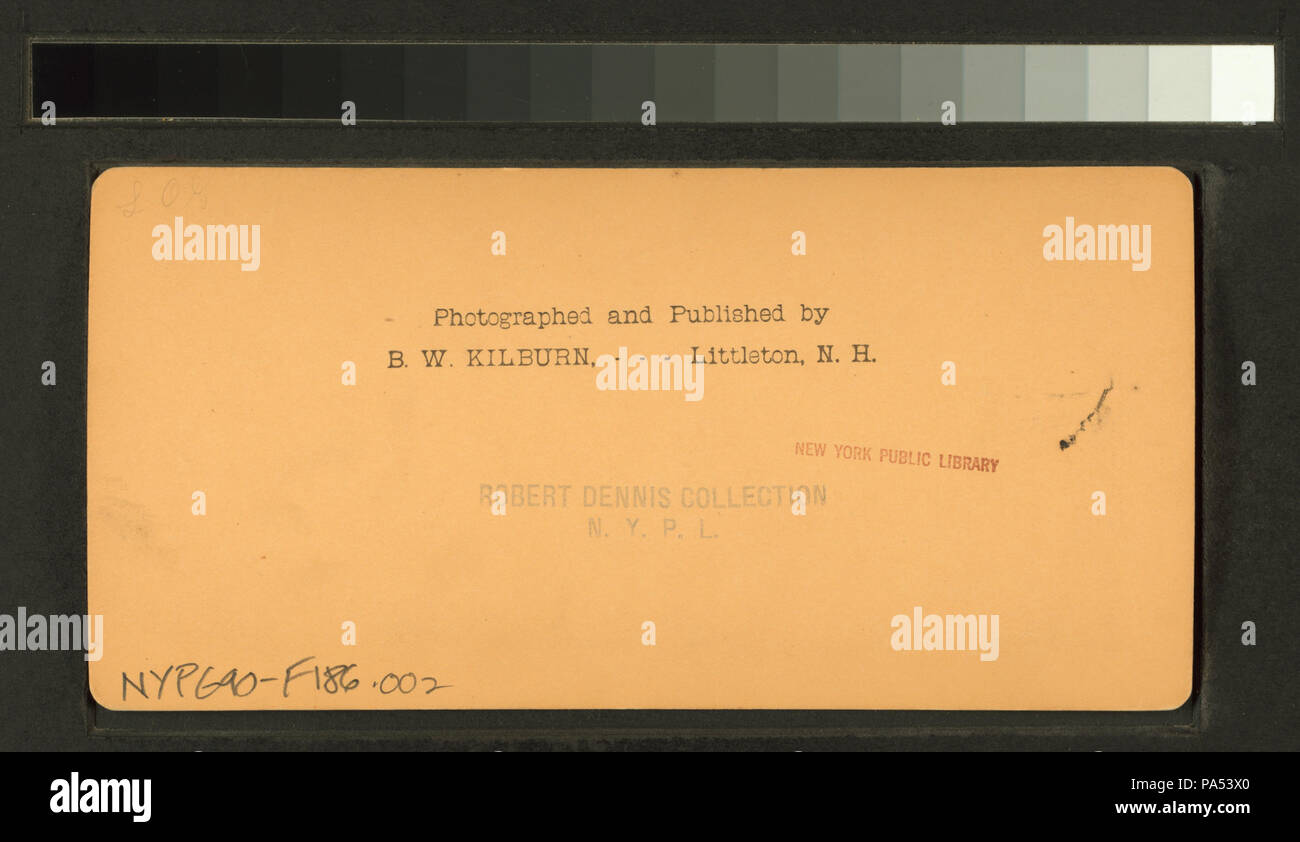 100 immeubles administratifs, Chicago World's Fair, mauvais (NYPL b11707463-G90F186 002B) Banque D'Images