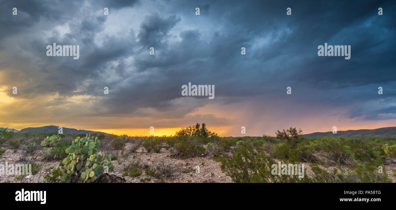 Les nuages de tempête et de la pluie au coucher du soleil à Big Bend National Park Banque D'Images