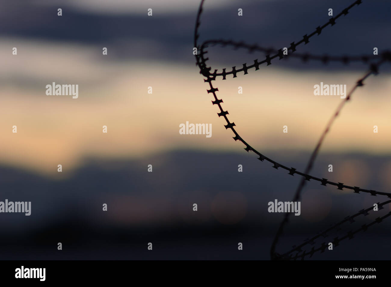 International Holocaust Remembrance Day Banque D'Images