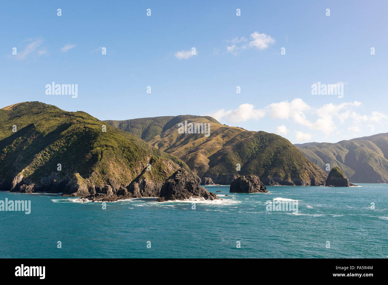 Côte Rocheuse, Marlborough, Marlborough Sounds, Picton, île du Sud, Nouvelle-Zélande Banque D'Images