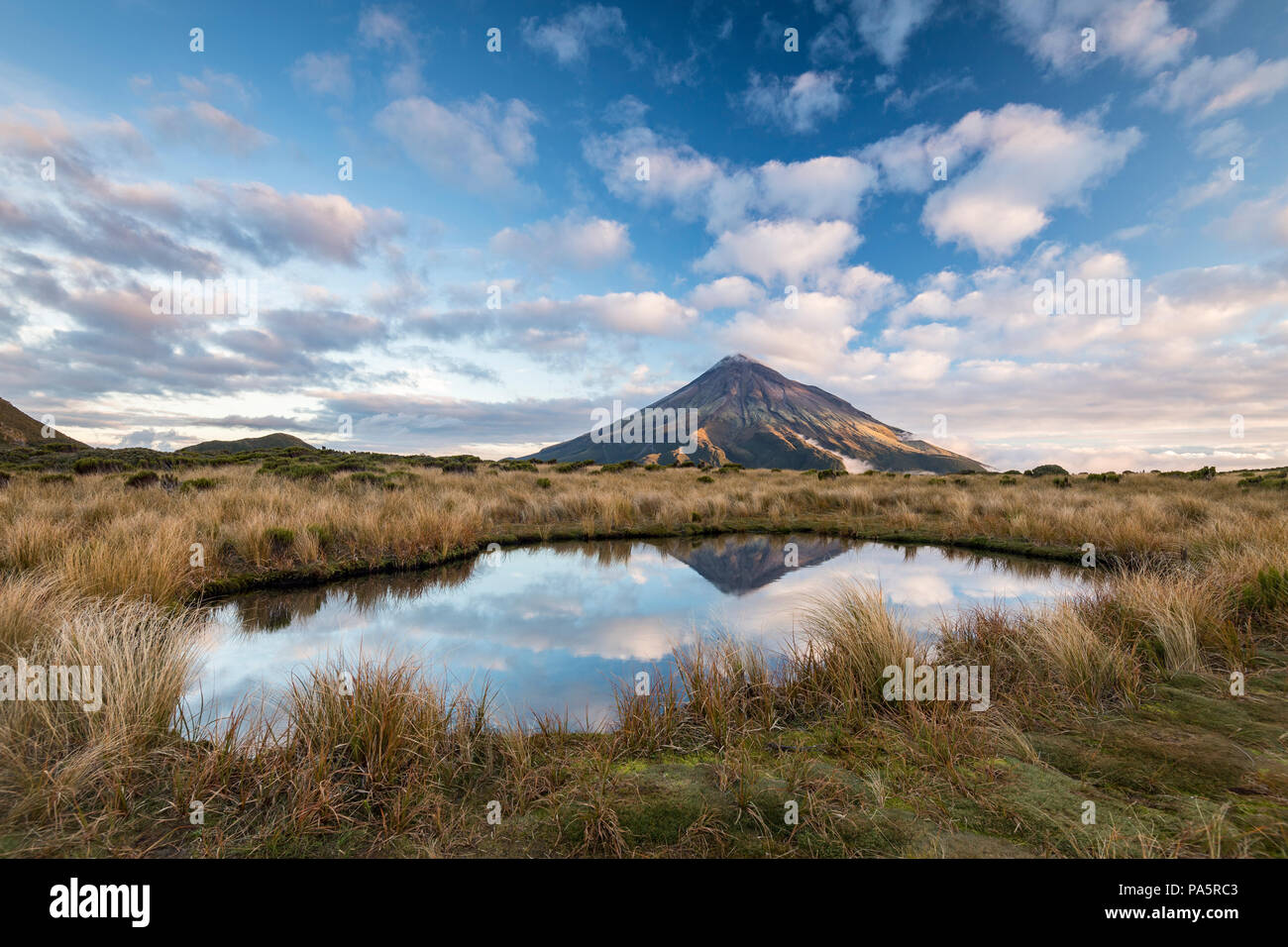 Le Mont Taranaki ou Mont stratovolcan dans Egmont Pouakai Tarn, Mont Egmont National Park, Taranaki, île du Nord Banque D'Images