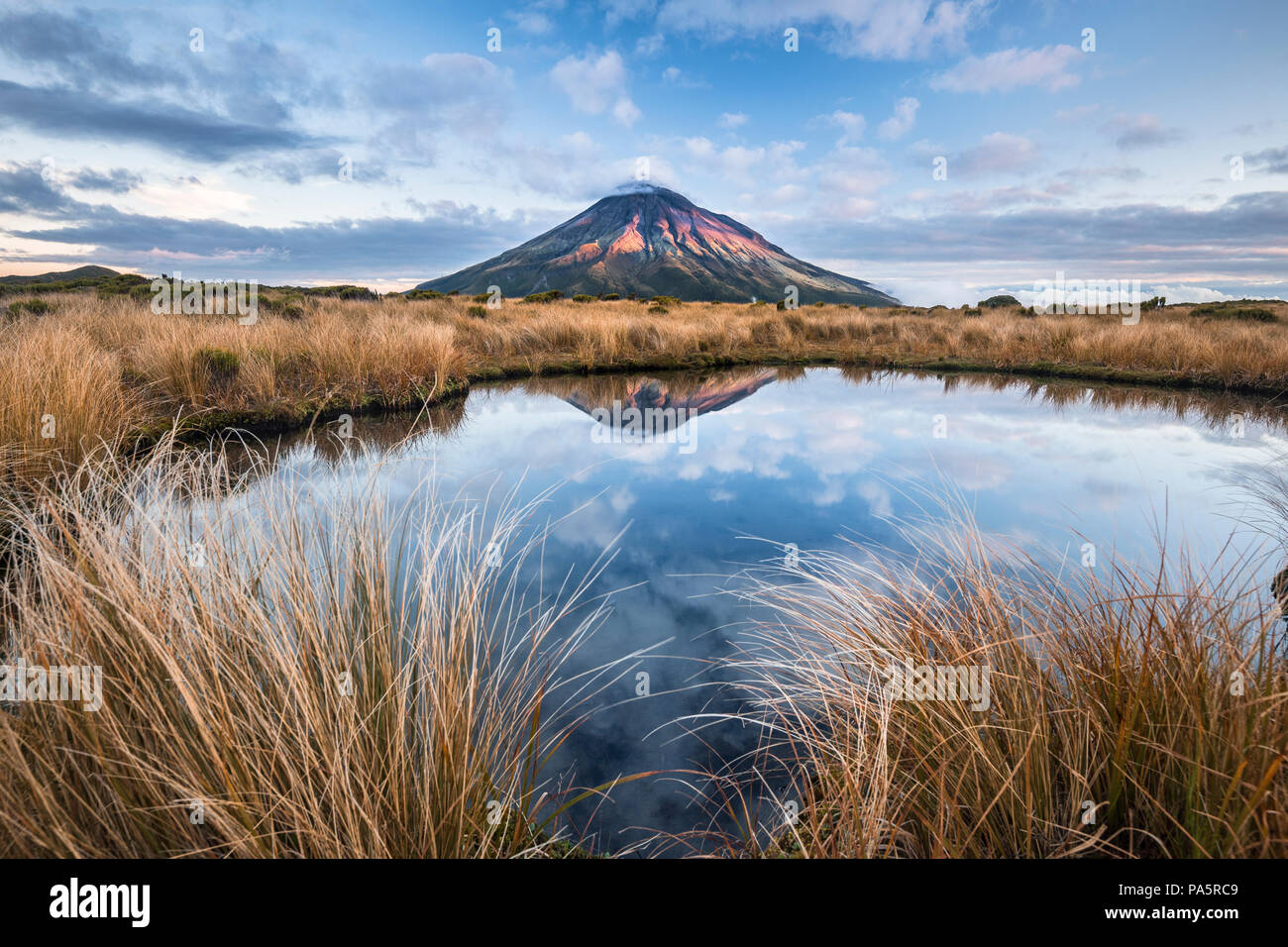 Le Mont Taranaki ou Mont stratovolcan dans Egmont Pouakai Tarn, Mont Egmont National Park, Taranaki, île du Nord Banque D'Images