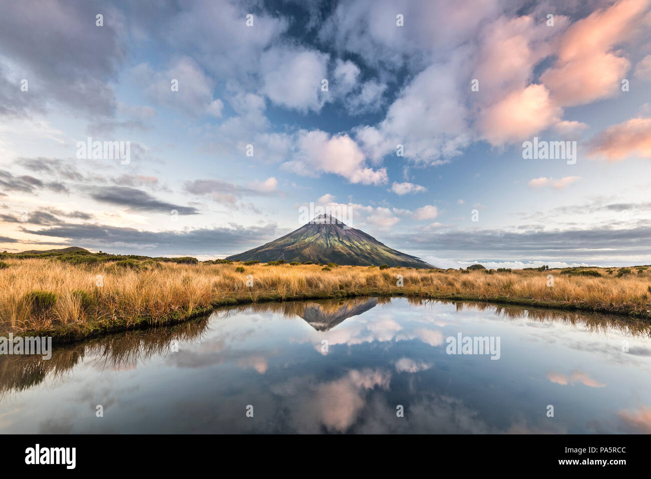 Le Mont Taranaki ou Mont stratovolcan dans Egmont Pouakai Tarn, Mont Egmont National Park, Taranaki, île du Nord Banque D'Images