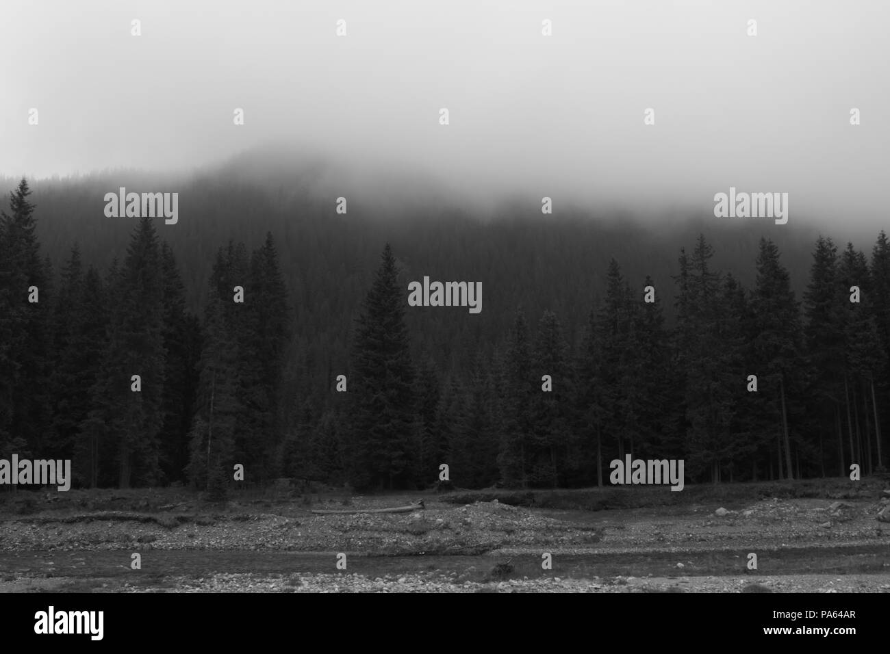 Montagne couverte par le brouillard en noir et blanc Banque D'Images