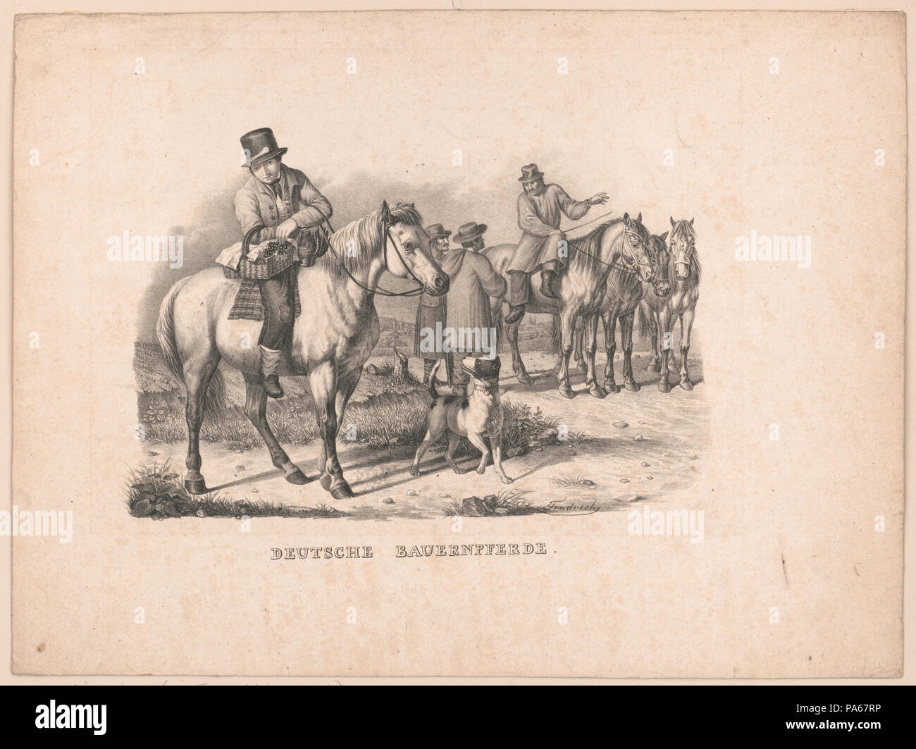 Deutsche 387 bauernpferde RCAC2002736921 Banque D'Images