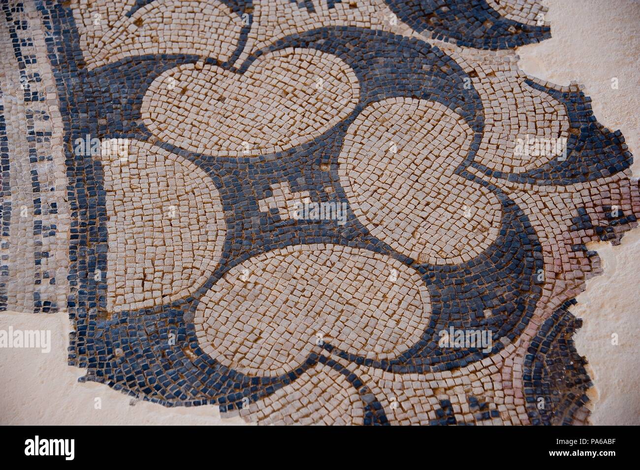 Mosaïques romaines, 1er siècle avant J.-C., dans la Villa romaine de Torre Llauder ou pouvez Llauder, Mataró, Barcelone, Catalogne, Espagne. Banque D'Images