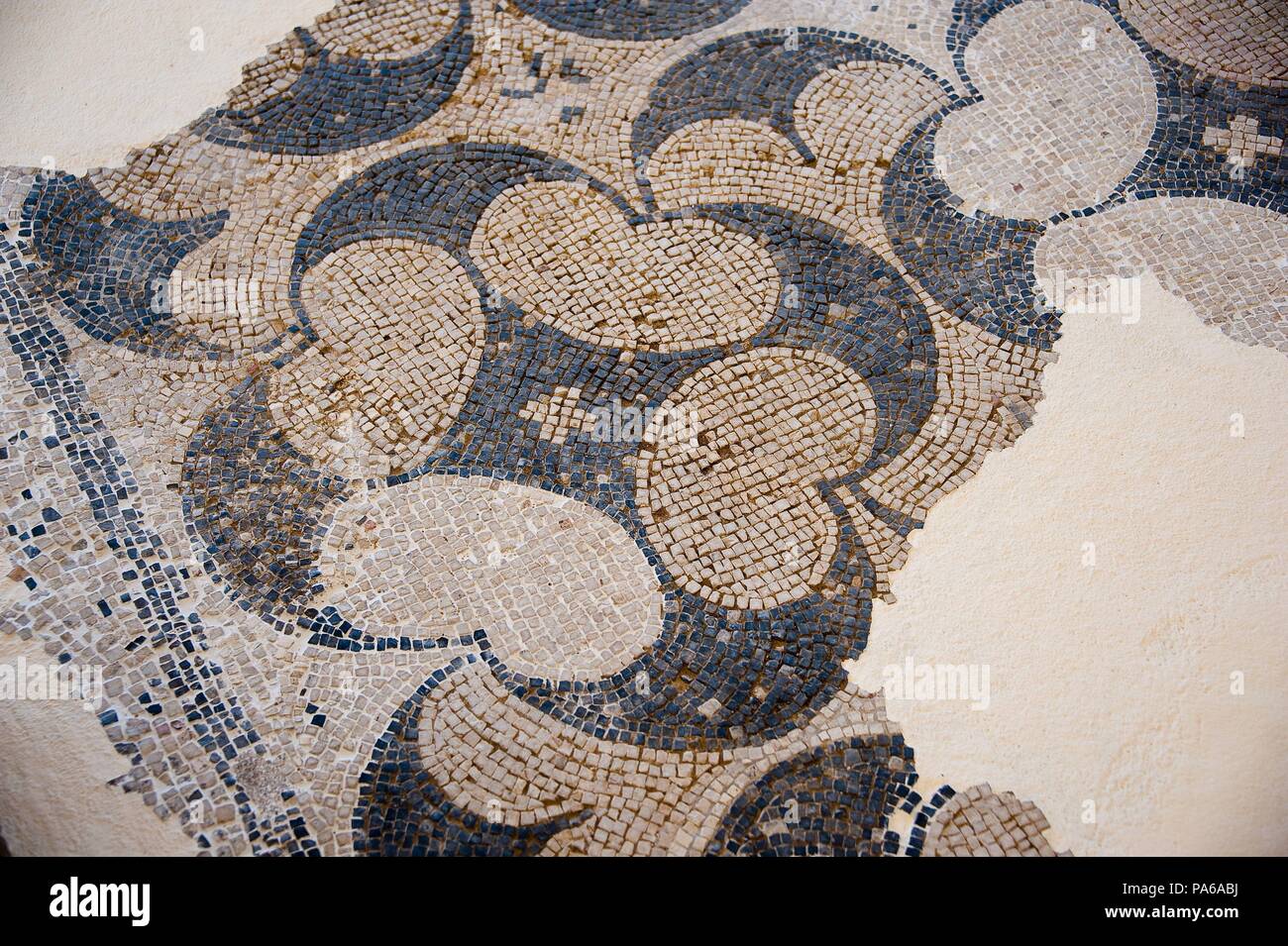 Mosaïques romaines, 1er siècle avant J.-C., dans la Villa romaine de Torre Llauder ou pouvez Llauder, Mataró, Barcelone, Catalogne, Espagne. Banque D'Images
