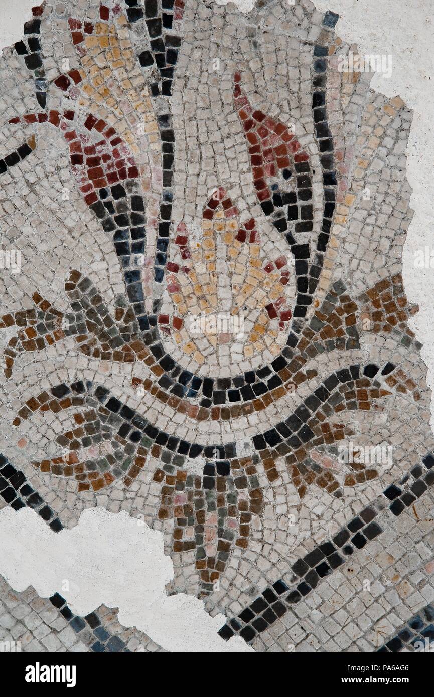 Mosaïques romaines, 1er siècle avant J.-C., dans la Villa romaine de Torre Llauder ou pouvez Llauder, Mataró, Barcelone, Catalogne, Espagne. Banque D'Images