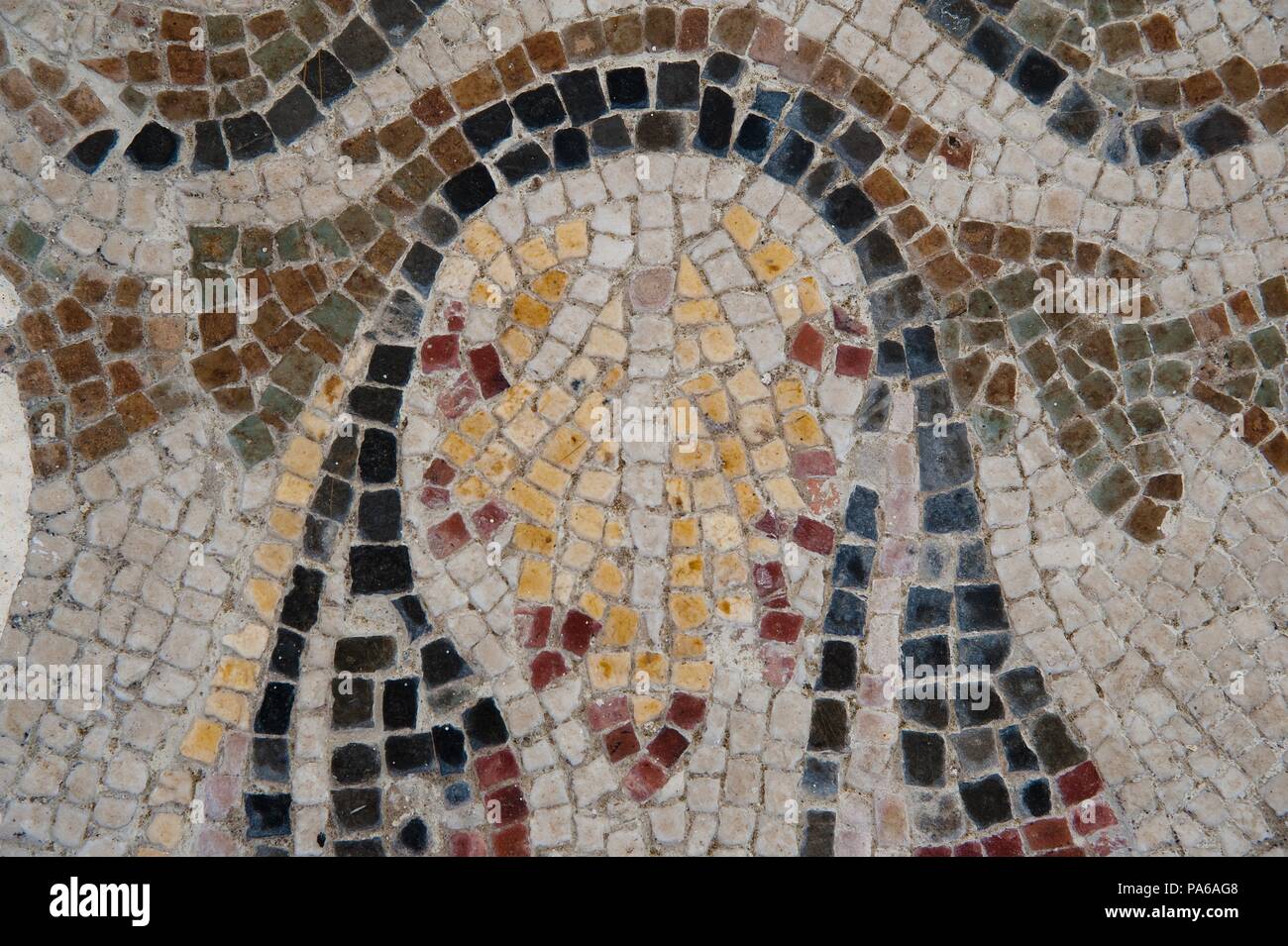 Mosaïques romaines, 1er siècle avant J.-C., dans la Villa romaine de Torre Llauder ou pouvez Llauder, Mataró, Barcelone, Catalogne, Espagne. Banque D'Images