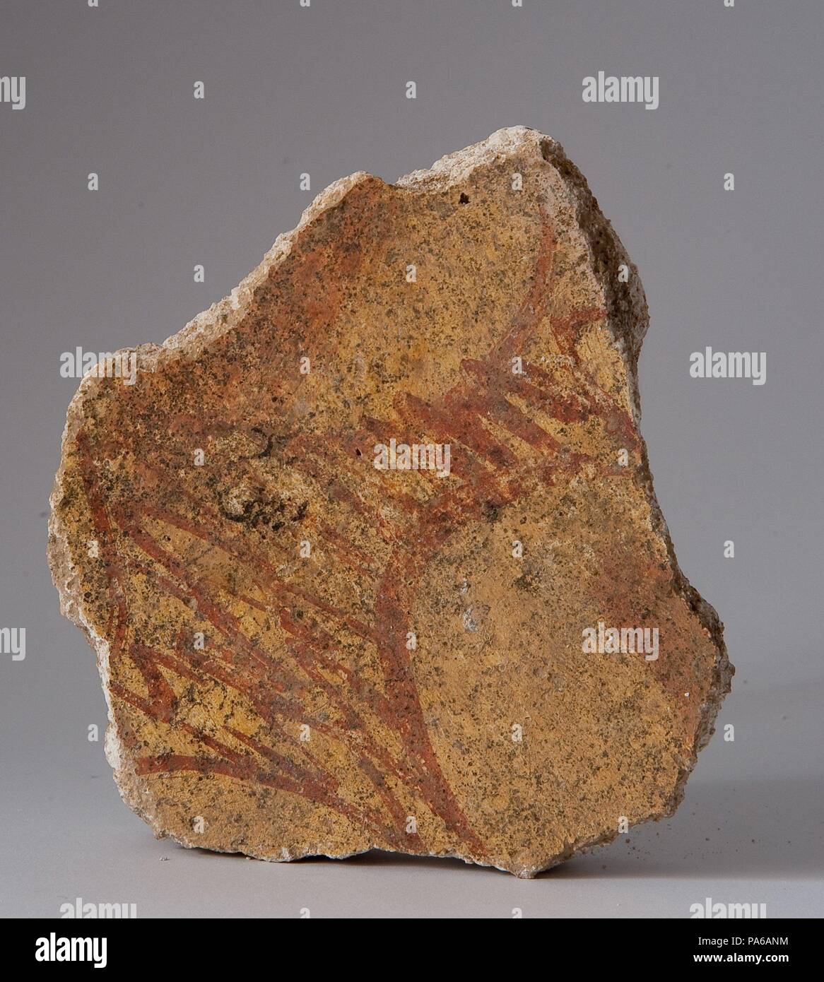 Décorées de stuc, 1er siècle avant J.-C., dans la Villa romaine de Torre Llauder ou pouvez Llauder, Mataró, Barcelone, Catalogne, Espagne. Musée : Musée de Mataró, Mataró, Barcelone, Catalogne, Espagne. Banque D'Images