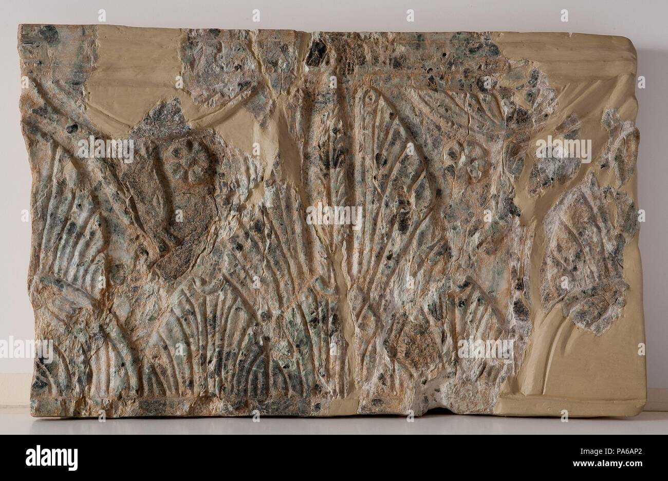 Plaque en pierre romain décoré en relief, 1er siècle avant J.-C., dans la Villa romaine de Torre Llauder ou pouvez Llauder, Mataró, Barcelone, Catalogne, Espagne. Musée : Musée de Mataró, Mataró, Barcelone, Catalogne, Espagne. Banque D'Images