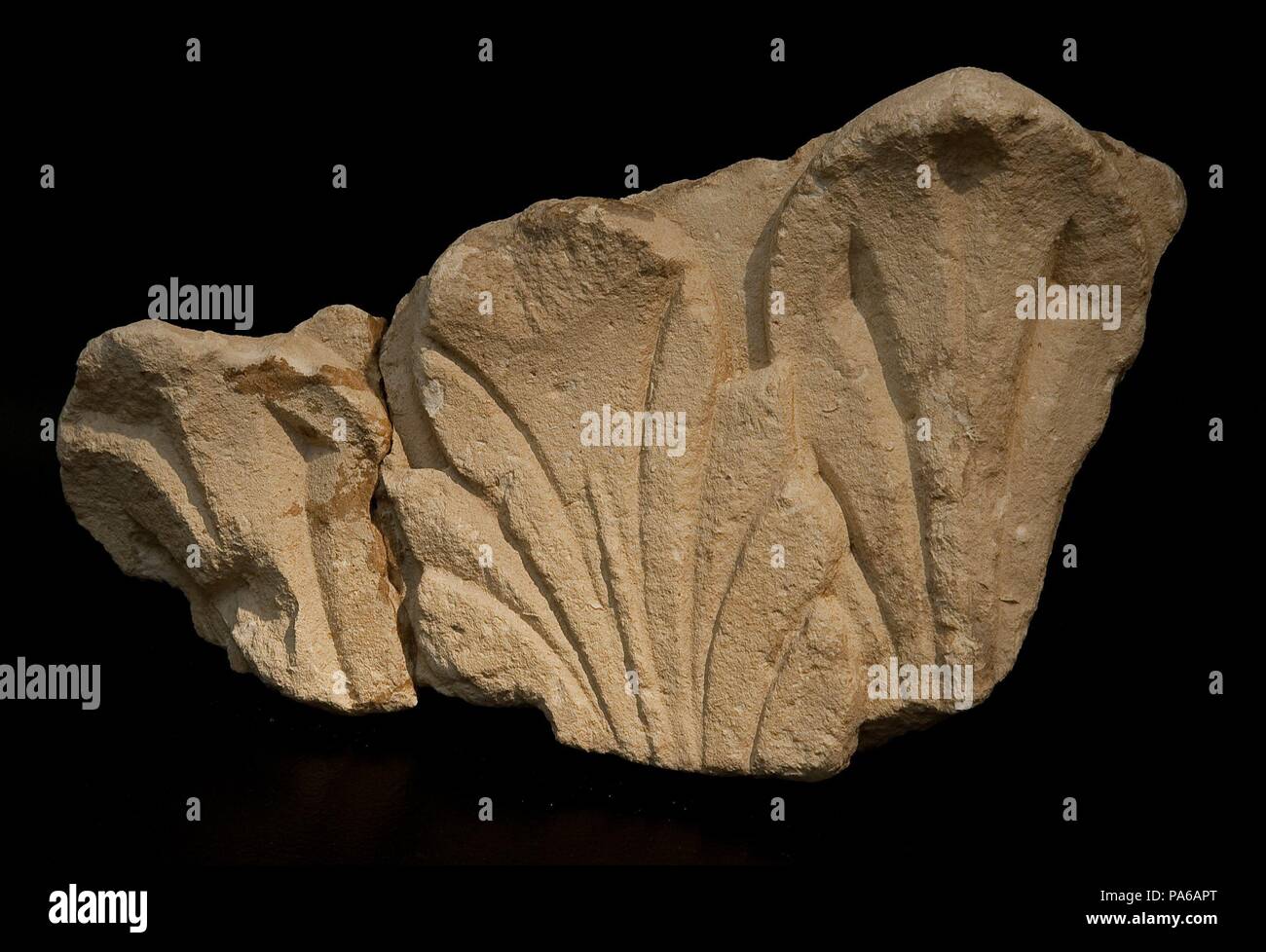 Fragment de la capitale romaine, 1er siècle avant J.-C., dans la Villa romaine de Torre Llauder ou pouvez Llauder, Mataró, Barcelone, Catalogne, Espagne. Musée : Musée de Mataró, Mataró, Barcelone, Catalogne, Espagne. Banque D'Images