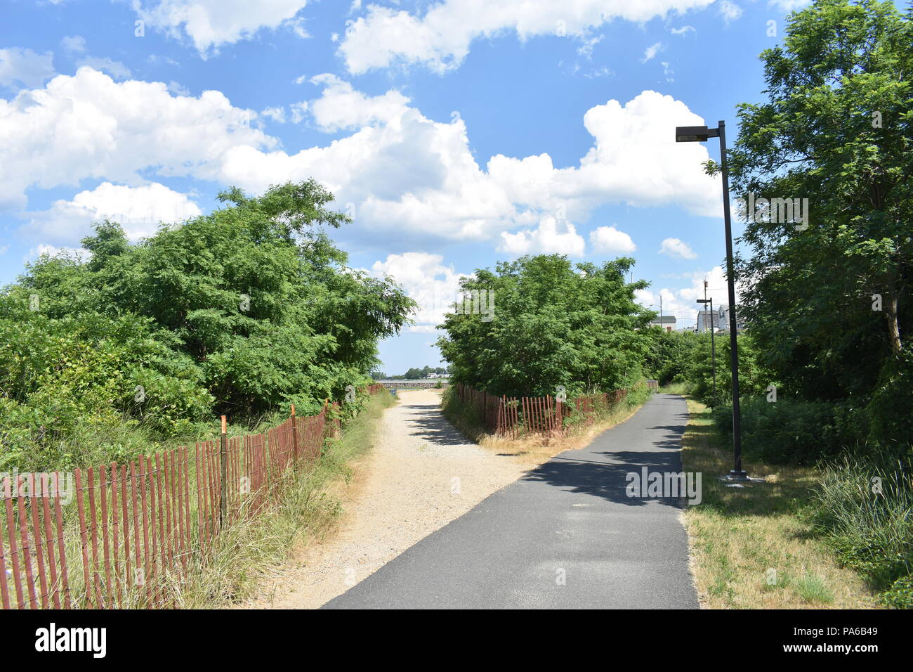 Chemin bordé d'arbres sur une belle journée Banque D'Images