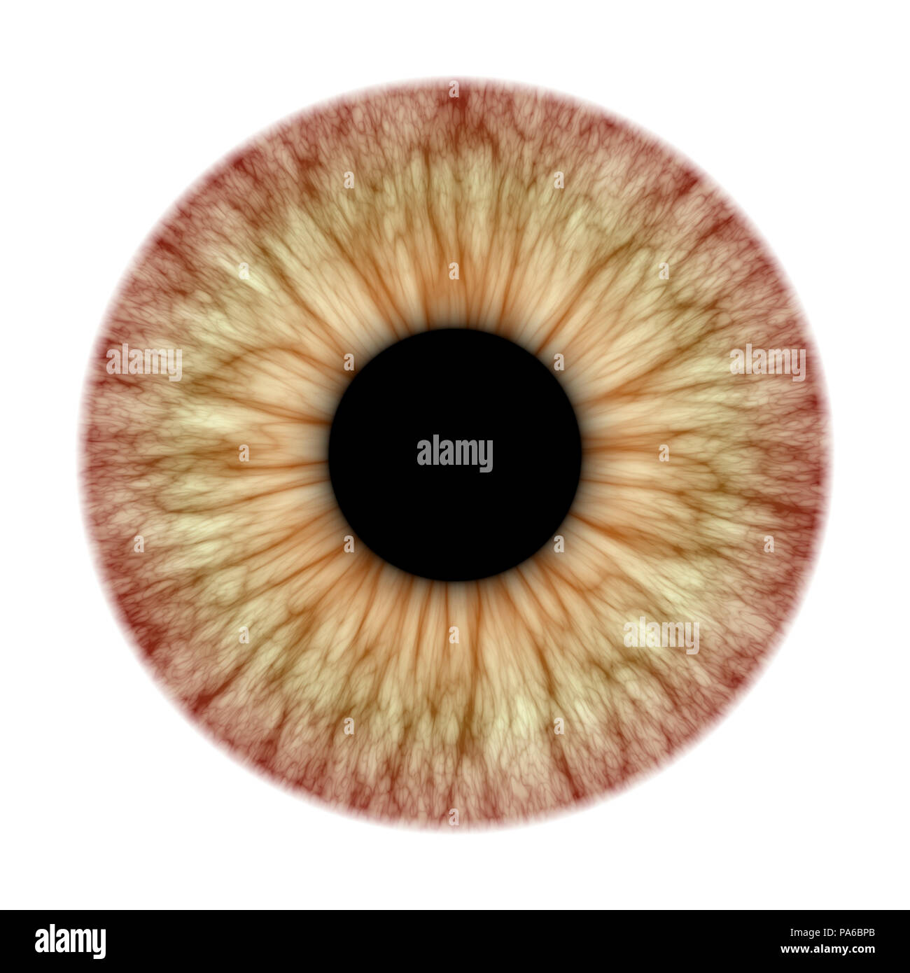Une illustration d'une belle texture de l'iris Banque D'Images