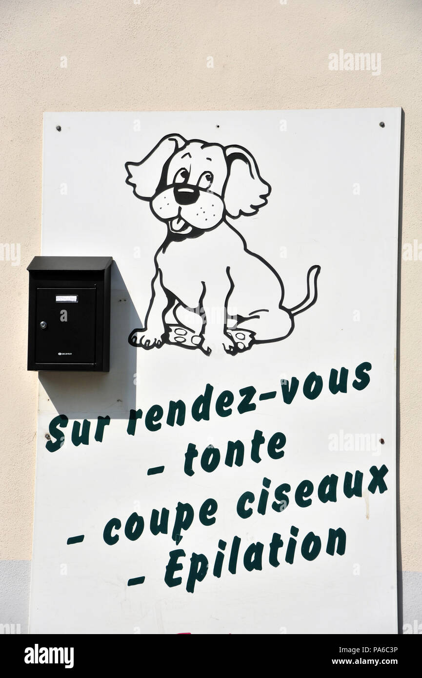 Caricature d'un petit chien sur un signe pour prendre un rendez-vous pour toiletter votre chien à un chien de coiffure à Béziers, France Banque D'Images