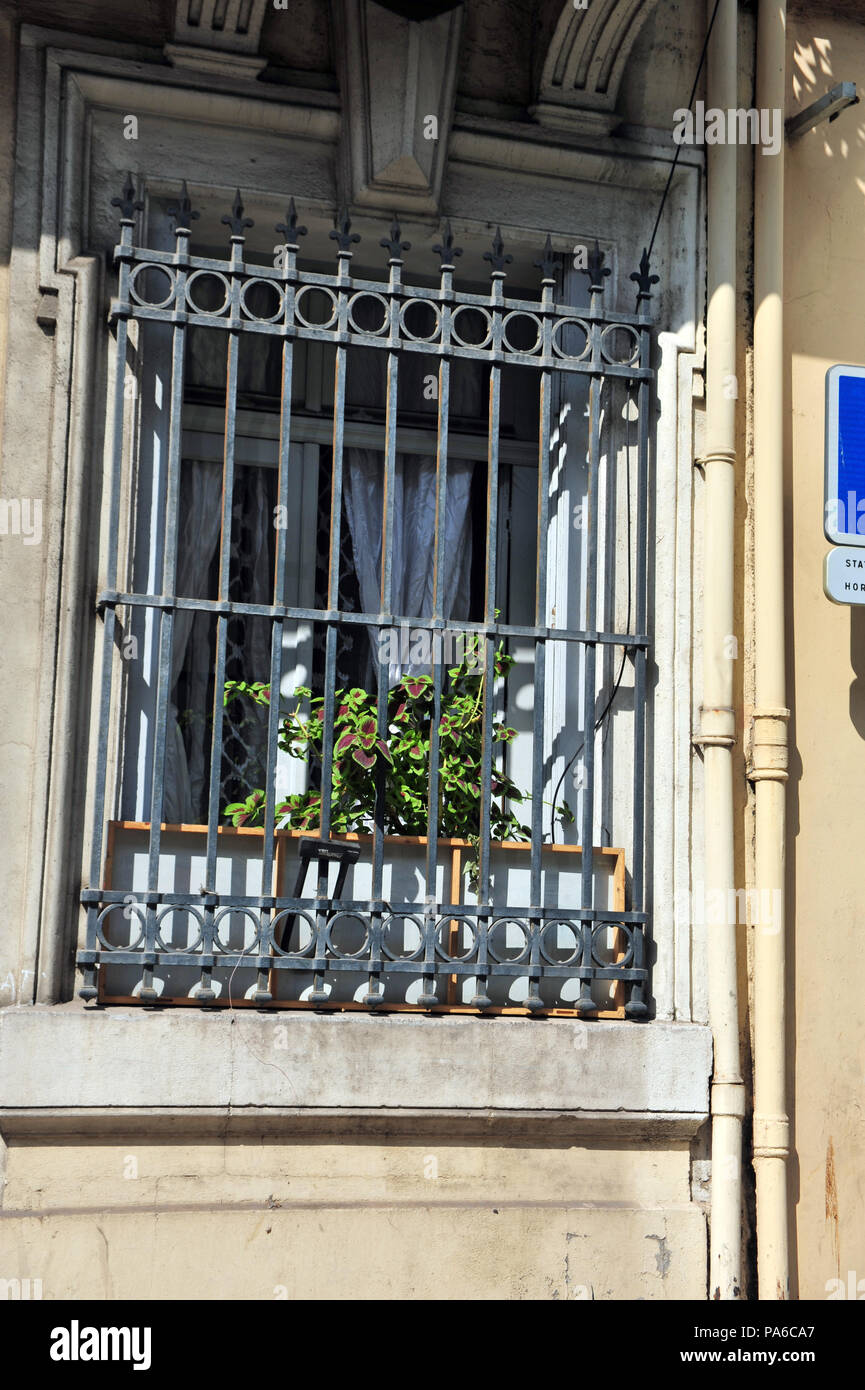 De solides barres de sécurité sur une fenêtre de chambre française avec la culture d'espèces végétales à travers les barreaux Banque D'Images