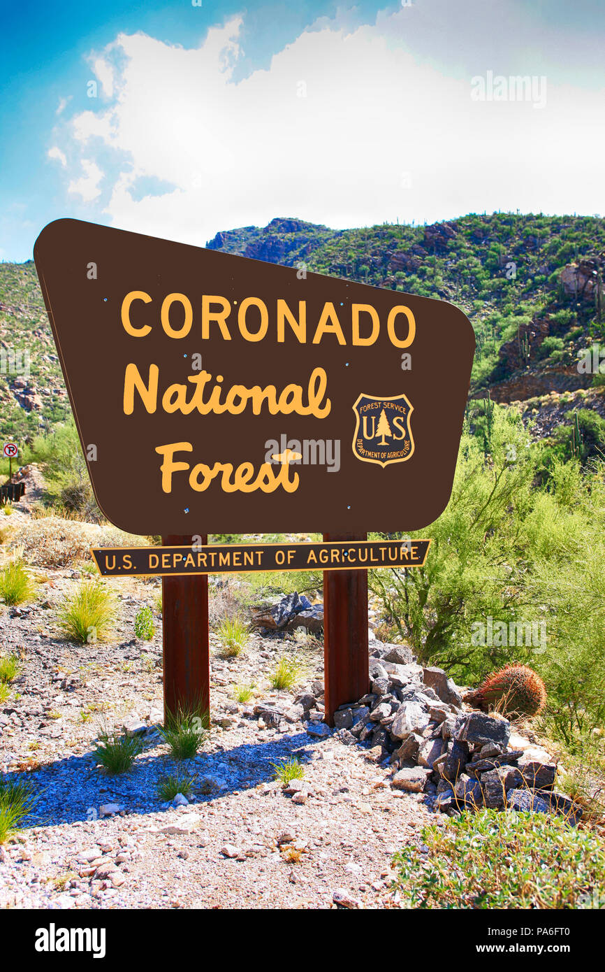 La Forêt nationale de Coronado signe sur Mt. Lemmon Hwy en Arizona Banque D'Images