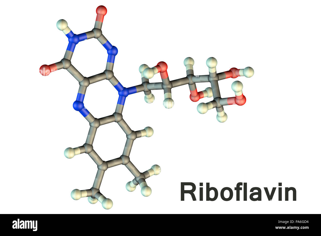 La vitamine B2 (riboflavine), le modèle moléculaire. Cette vitamine joue un rôle clé dans le métabolisme de l'énergie. Les atomes sont représentés comme des sphères et sont codés par couleur : carbone (gris), l'hydrogène (blanc), l'azote (bleu) et d'oxygène (rouge). Banque D'Images