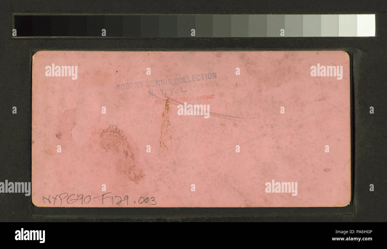 10 (le palmier.) (NYPL b11707405-G90F129 003B) Banque D'Images