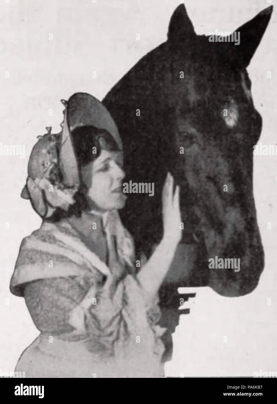 208 Black Beauty (1921) - 10 Banque D'Images