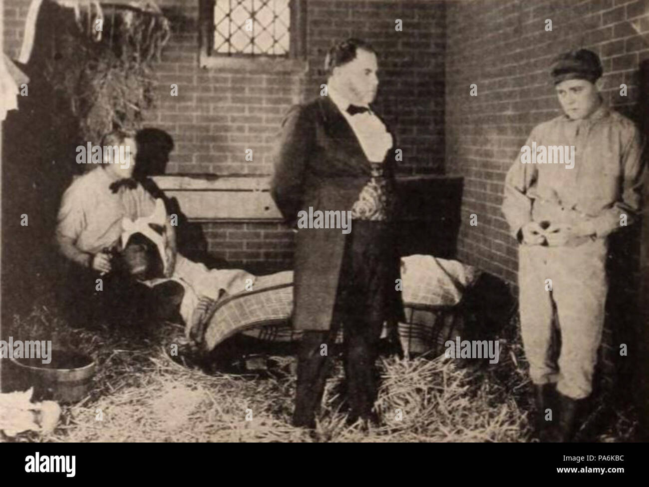 208 Black Beauty (1921) - 14 Banque D'Images