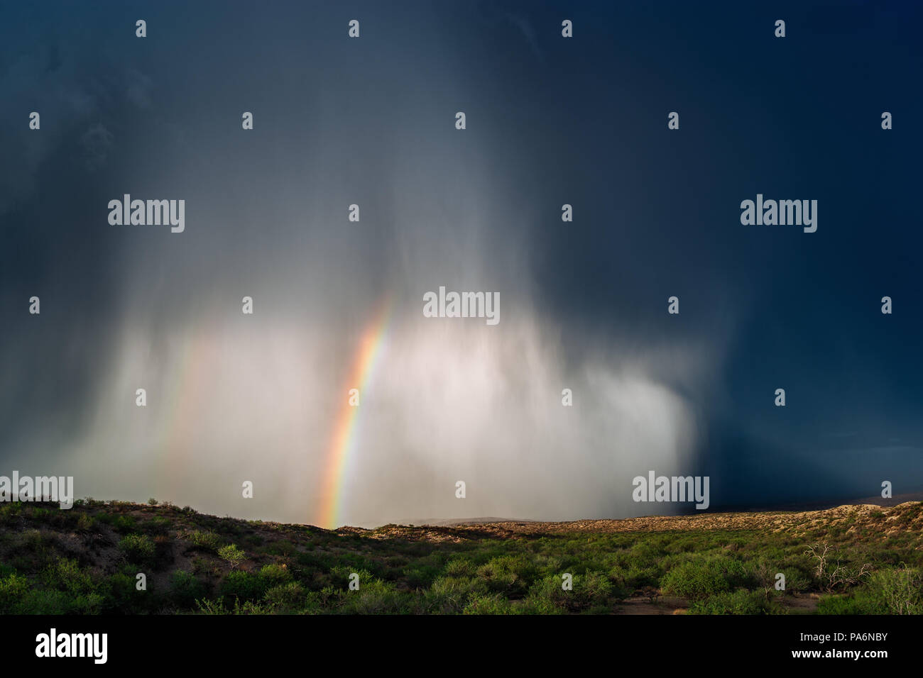 Microburst avec de fortes pluies et grêle d'un orage de mousson près de Globe, Arizona Banque D'Images