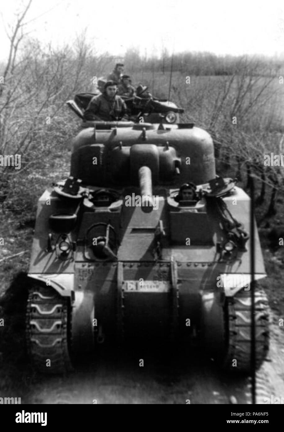 163 M5 Sherman (AE) Banque D'Images