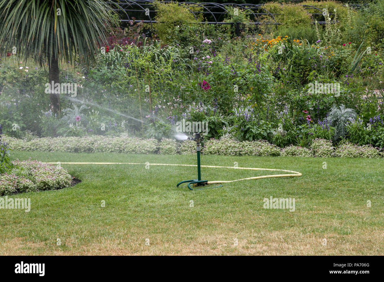 Hyde Park. Londres. UK 20 Juillet 2018 - Une eau de type sprinkleur en usage dans Hyde Park. Dans certaines parties de l'UK Le soutien de l'interdiction seront appliquées à partir du 5 août en raison de la vague de chaleur continue et le manque de pluie. Credit : Dinendra Haria/Alamy Live News Banque D'Images