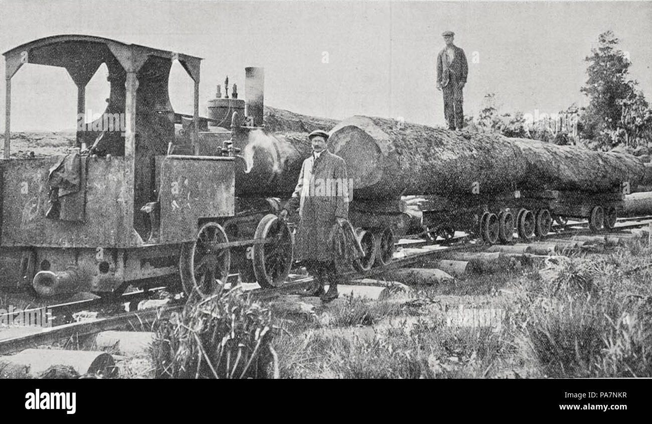 2 0-4-0T No 1 par Gibbons &AMP ; Harris, Auckland, 1905 Banque D'Images