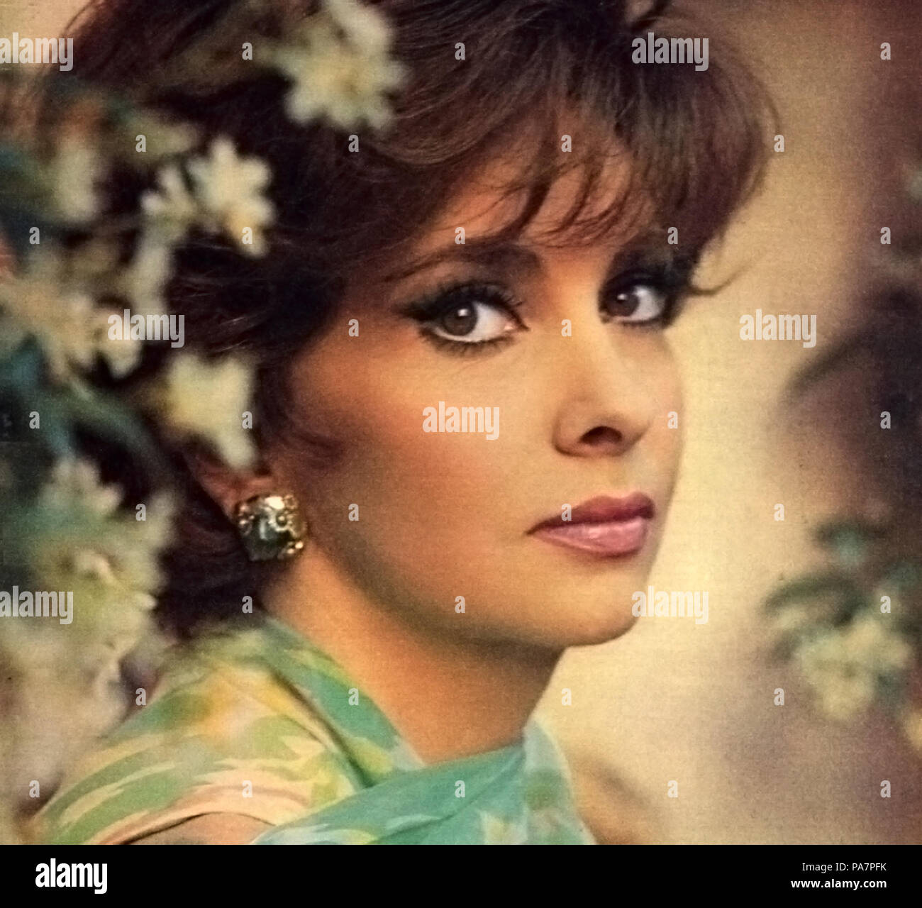 103 Gina Lollobrigida 65 retusche Banque D'Images