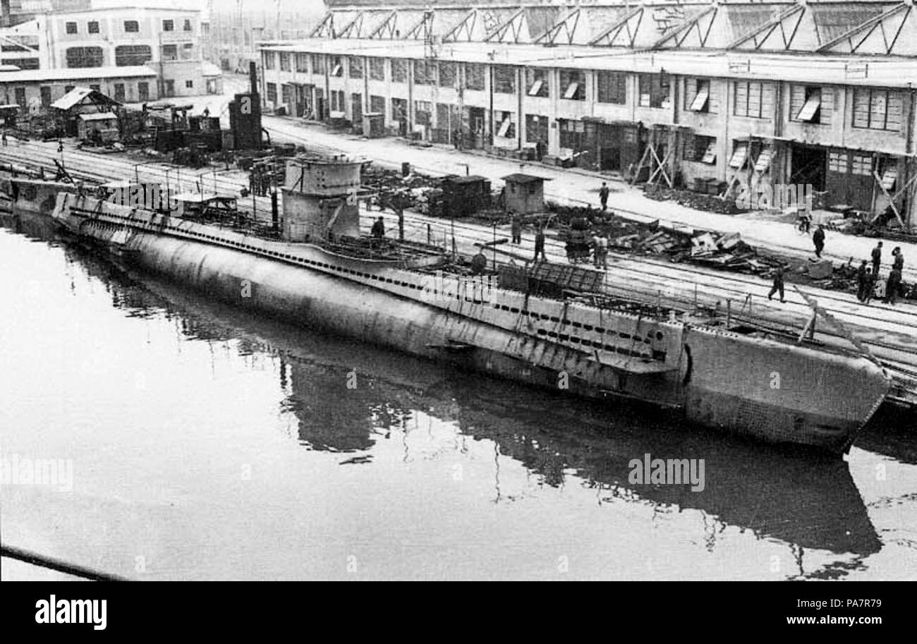 181 Nautilo Banque D'Images