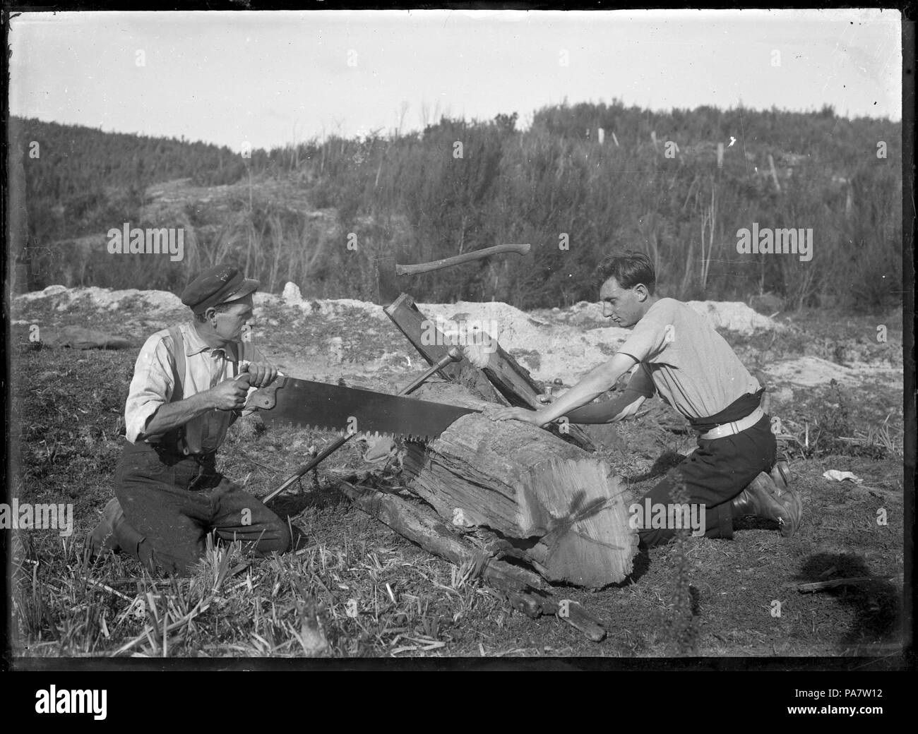 14 Albert Godber Percy et son fils Bill sciant un log sur leur propriété à Silverstream, vers 1918. 288431 ATLIB Banque D'Images