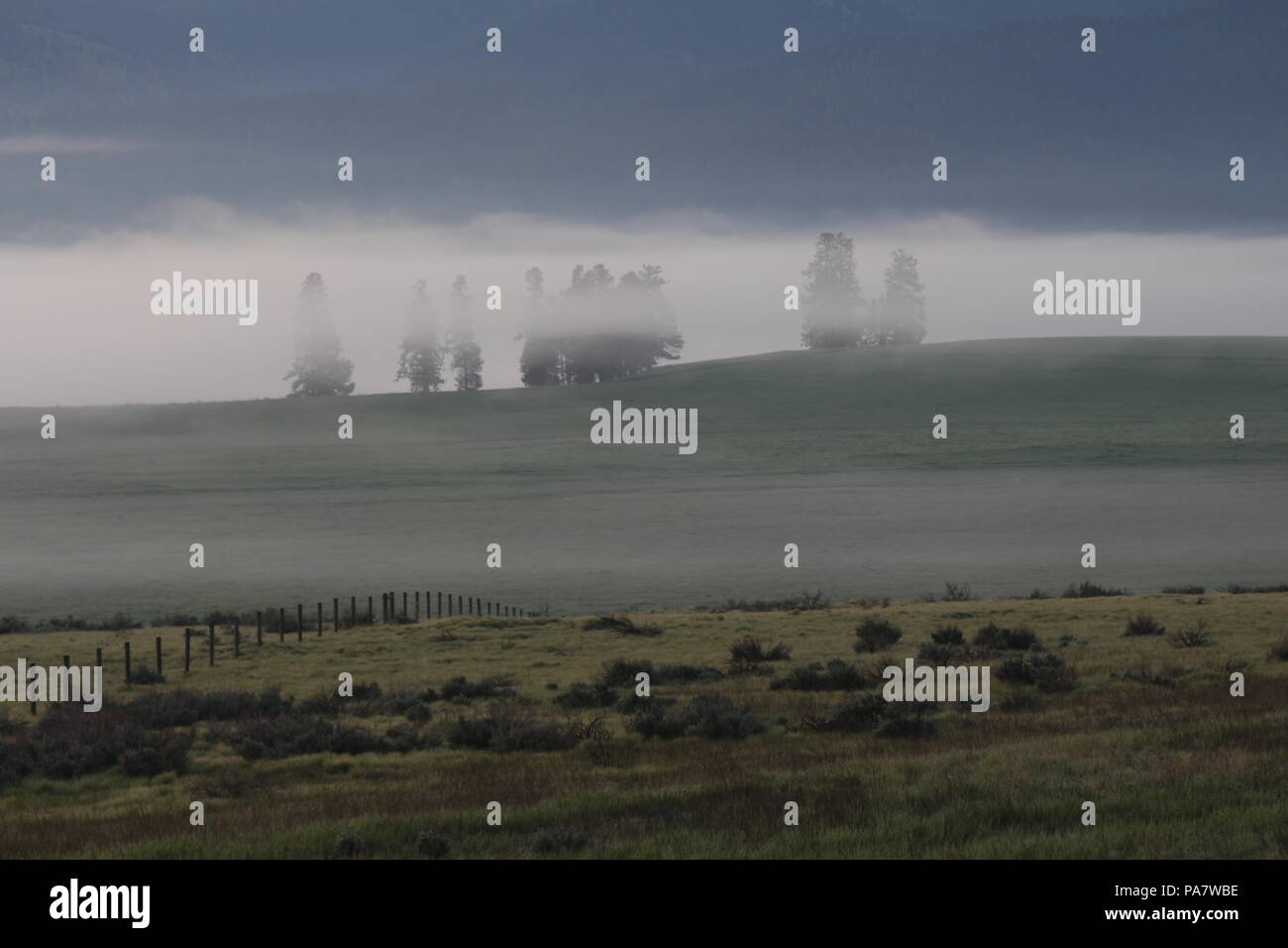 Foggy, Misty Montana ranch terre à l'aube Banque D'Images