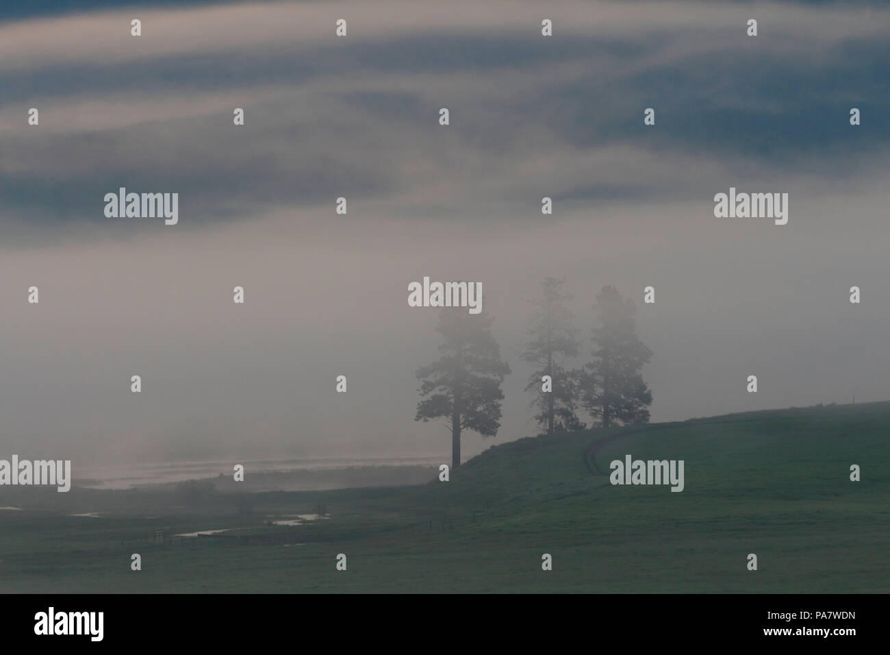 Foggy, Misty Montana ranch terre à l'aube Banque D'Images