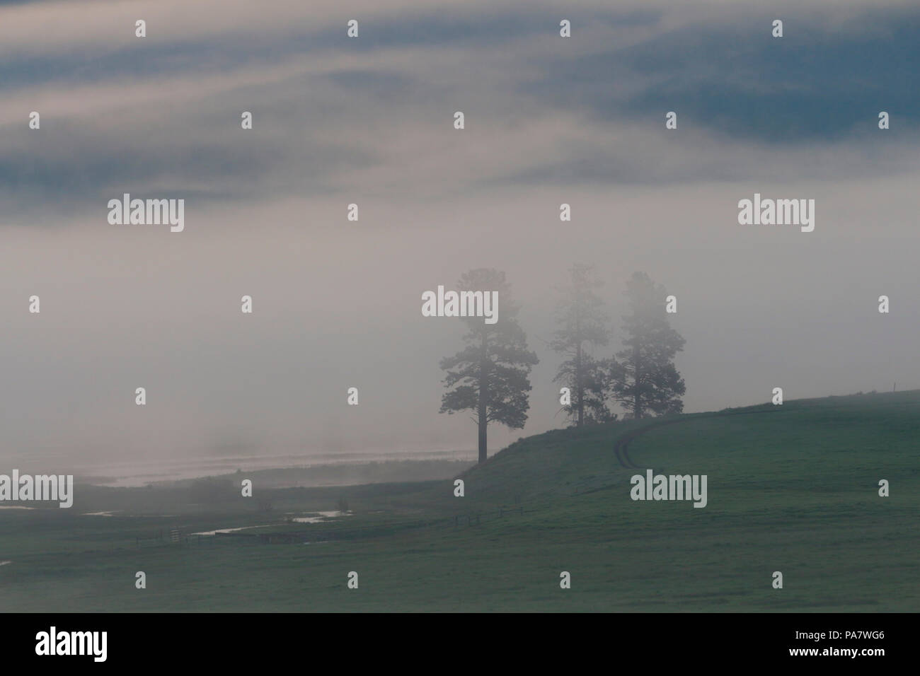 Foggy, Misty Montana ranch terre à l'aube Banque D'Images