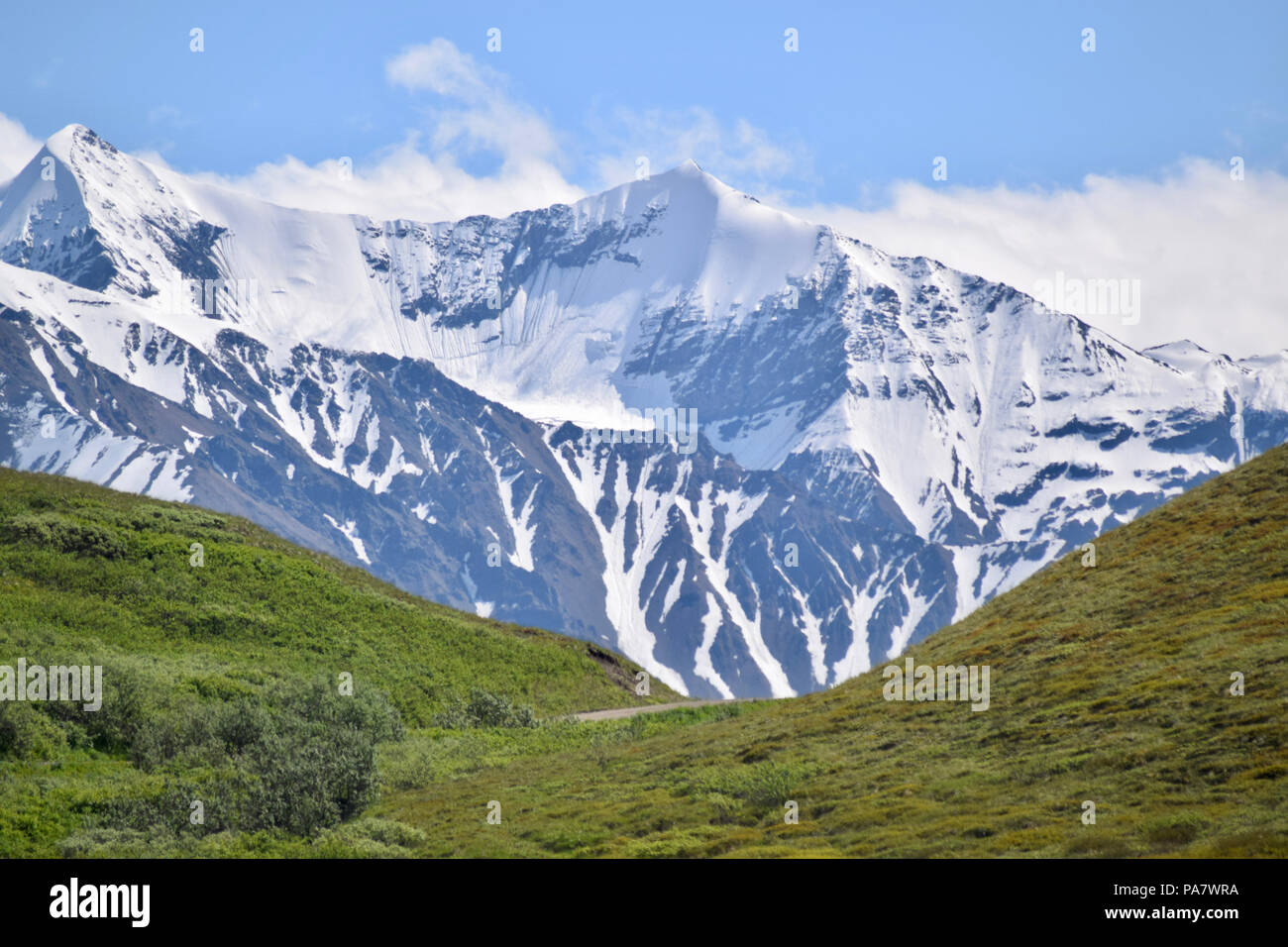 Paysage dans le parc national Denali, Alaska, United States Banque D'Images